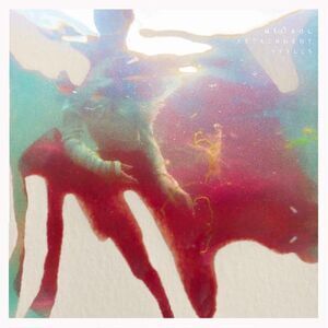 M(h)aol - Attachment Styles  LP LP